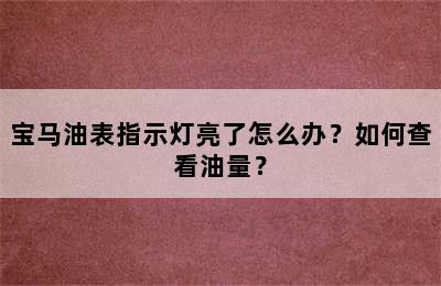 宝马油表指示灯亮了怎么办？如何查看油量？