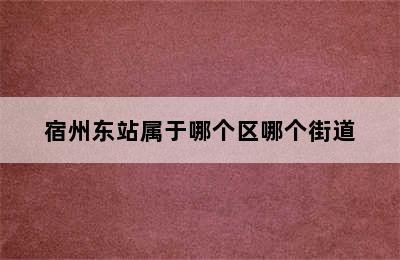 宿州东站属于哪个区哪个街道