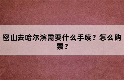 密山去哈尔滨需要什么手续？怎么购票？