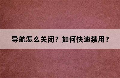 导航怎么关闭？如何快速禁用？