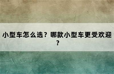 小型车怎么选？哪款小型车更受欢迎？