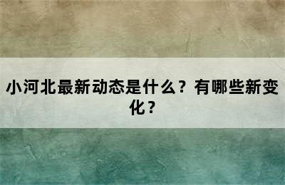 小河北最新动态是什么？有哪些新变化？