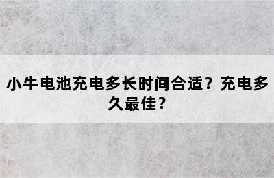 小牛电池充电多长时间合适？充电多久最佳？