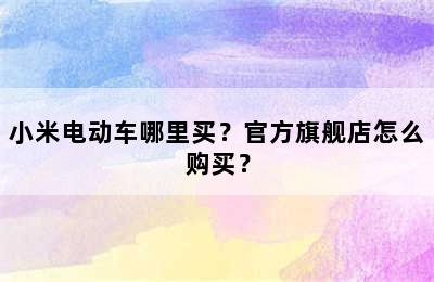 小米电动车哪里买？官方旗舰店怎么购买？