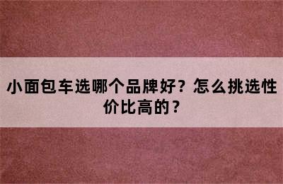 小面包车选哪个品牌好？怎么挑选性价比高的？