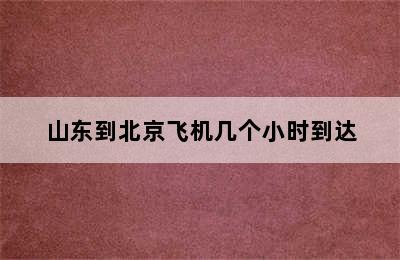 山东到北京飞机几个小时到达