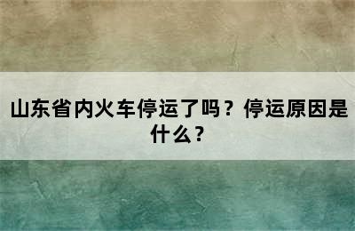 山东省内火车停运了吗？停运原因是什么？