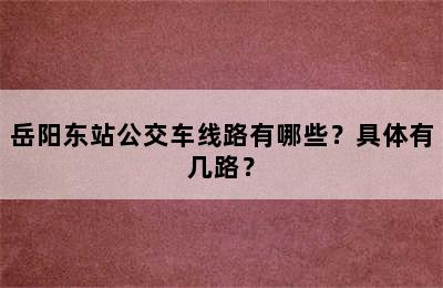 岳阳东站公交车线路有哪些？具体有几路？