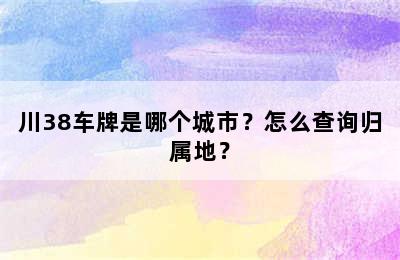 川38车牌是哪个城市？怎么查询归属地？