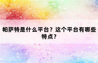 帕萨特是什么平台？这个平台有哪些特点？