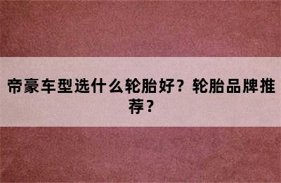 帝豪车型选什么轮胎好？轮胎品牌推荐？