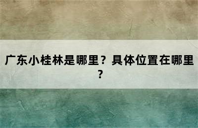 广东小桂林是哪里？具体位置在哪里？