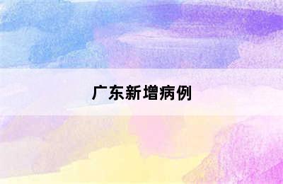 广东新增病例