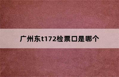 广州东t172检票口是哪个