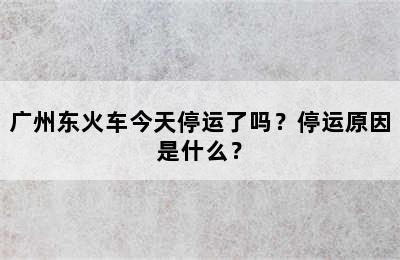 广州东火车今天停运了吗？停运原因是什么？