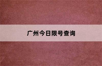 广州今日限号查询