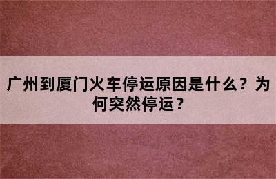 广州到厦门火车停运原因是什么？为何突然停运？