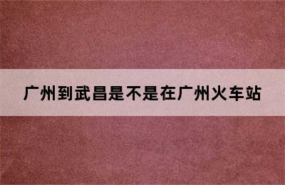 广州到武昌是不是在广州火车站