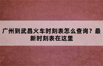 广州到武昌火车时刻表怎么查询？最新时刻表在这里