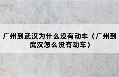 广州到武汉为什么没有动车（广州到武汉怎么没有动车）