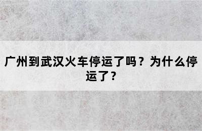 广州到武汉火车停运了吗？为什么停运了？