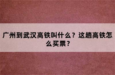 广州到武汉高铁叫什么？这趟高铁怎么买票？