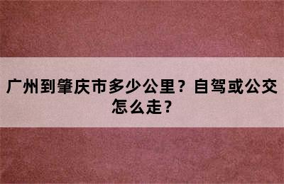 广州到肇庆市多少公里？自驾或公交怎么走？