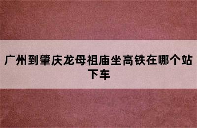 广州到肇庆龙母祖庙坐高铁在哪个站下车