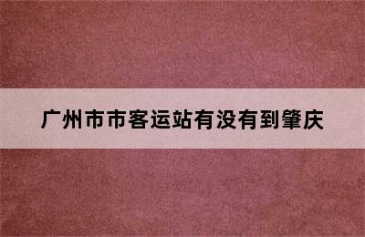 广州市市客运站有没有到肇庆