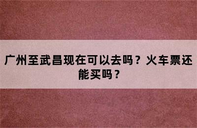 广州至武昌现在可以去吗？火车票还能买吗？