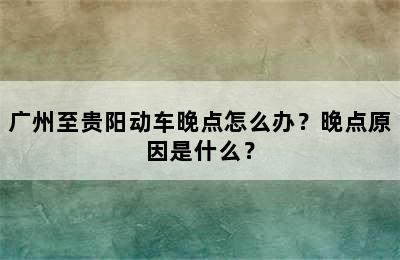 广州至贵阳动车晚点怎么办？晚点原因是什么？