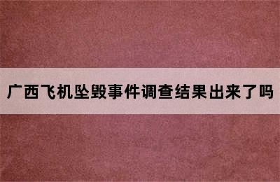 广西飞机坠毁事件调查结果出来了吗