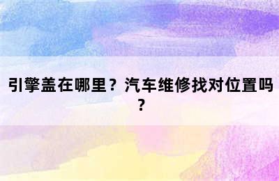 引擎盖在哪里？汽车维修找对位置吗？