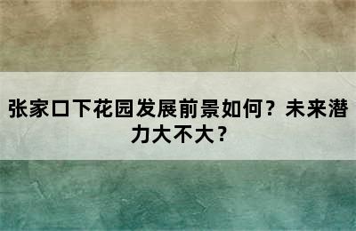 张家口下花园发展前景如何？未来潜力大不大？