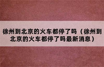 徐州到北京的火车都停了吗（徐州到北京的火车都停了吗最新消息）