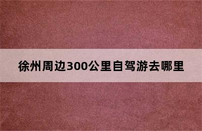 徐州周边300公里自驾游去哪里