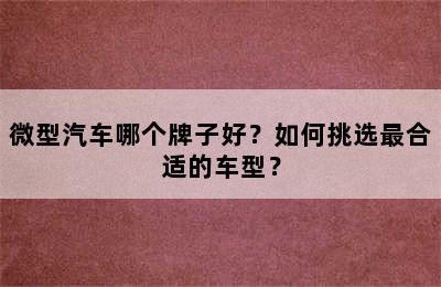 微型汽车哪个牌子好？如何挑选最合适的车型？