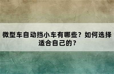 微型车自动挡小车有哪些？如何选择适合自己的？