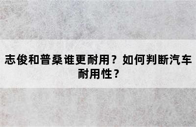 志俊和普桑谁更耐用？如何判断汽车耐用性？