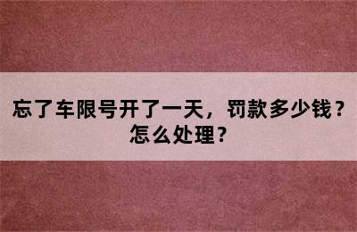 忘了车限号开了一天，罚款多少钱？怎么处理？