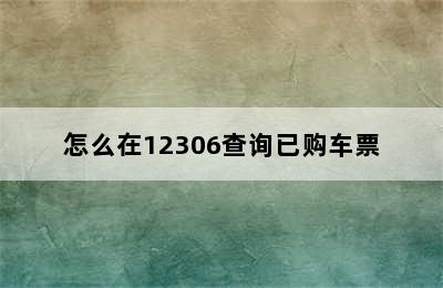 怎么在12306查询已购车票