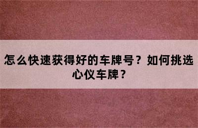 怎么快速获得好的车牌号？如何挑选心仪车牌？