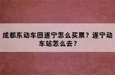 成都东动车回遂宁怎么买票？遂宁动车站怎么去？