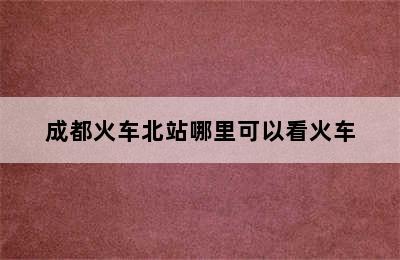 成都火车北站哪里可以看火车