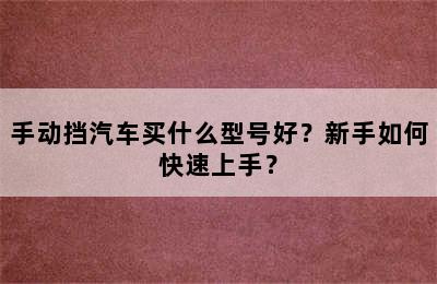 手动挡汽车买什么型号好？新手如何快速上手？