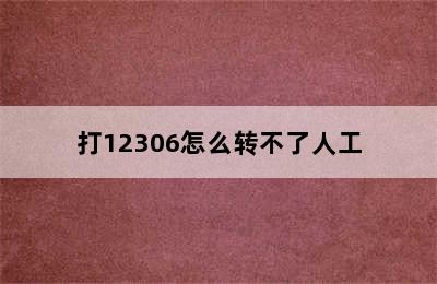 打12306怎么转不了人工