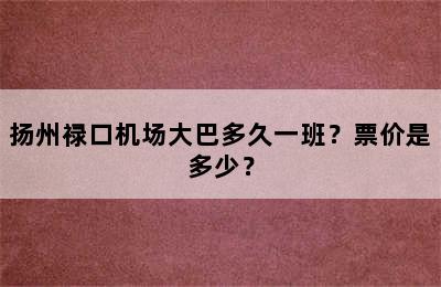 扬州禄口机场大巴多久一班？票价是多少？