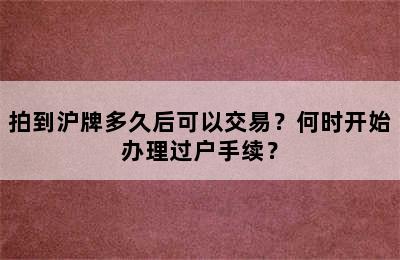 拍到沪牌多久后可以交易？何时开始办理过户手续？