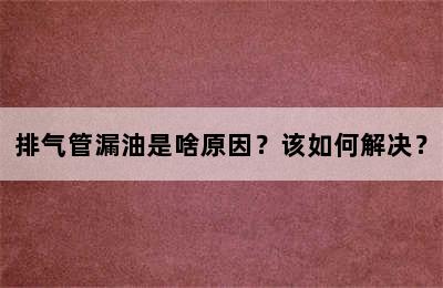 排气管漏油是啥原因？该如何解决？