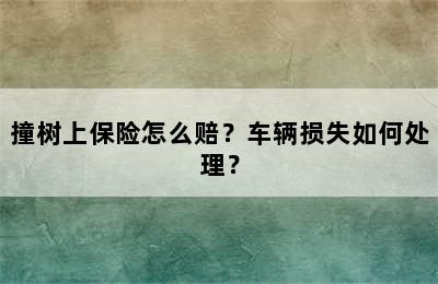 撞树上保险怎么赔？车辆损失如何处理？